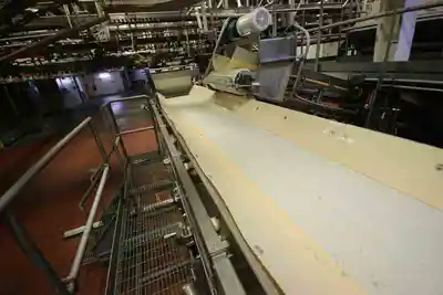 34 " wide ss conveyor