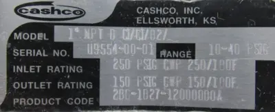 NEW CASHCO 2B6-1B27-12000000A PRESSURE REGULATOR 10-40PSI 1" MPT D CT/CT/B2