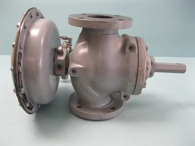 NEW Fisher 1098-EGR