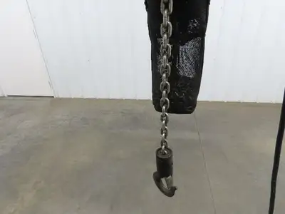 CM Lodestar A2 Electric Chain Hoist 1/8 Ton 10/32 FPM 2 Speed 14' Lift 460 Volt