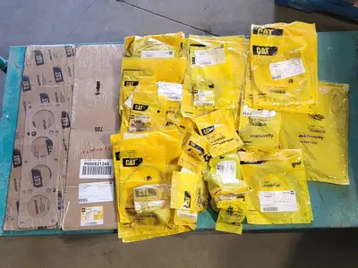 Repair Kit, Bearing, Seal, Belt, Clamp, Gasket (1 lot)