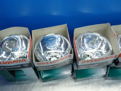 NEW SYLVANIA 250BR40/RP