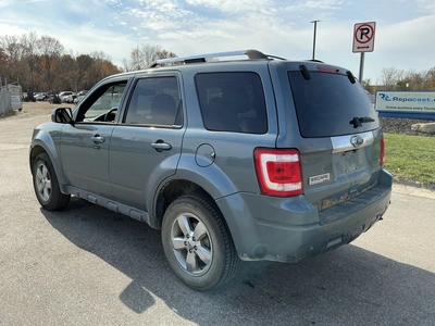 Used 2010 FORD ESCAPE Utility Vehicles Michigan US | Miedema Asset Management Group #1732718