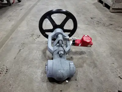 2" Class 900 Globe Valve B16.34