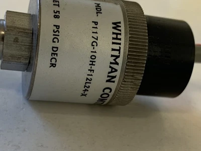 NEW WHITMAN CONTROLS P117G-10H-F12L24-X