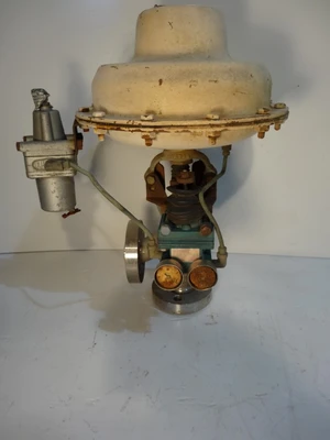 Annin 1", Class 600, CF8M Control Valve