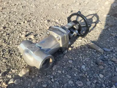 1" Class 800 Globe Valve API 602