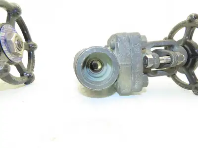 Ilshin 8A05-5 Steel Gate Valve 3/4" Socket Weld 1975psi Class 800  Lot of 2