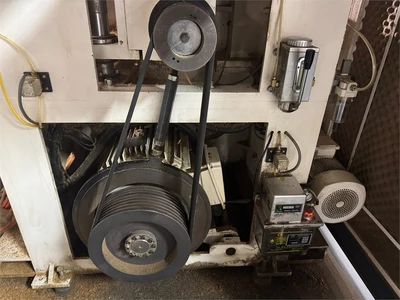 USED 2019 JANGJA "AM7335"