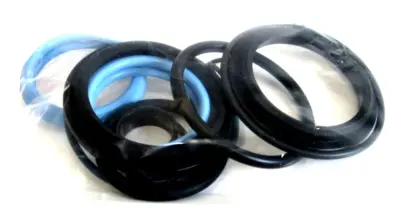 NEW LOT OF 2 PENTAIR 2168310 GASKET SET