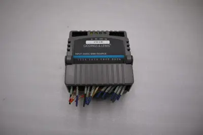 Giddings & Lewis M.1300.7372 R1 Input Module 24VDC SINK/SOURCE STOCK 5157A