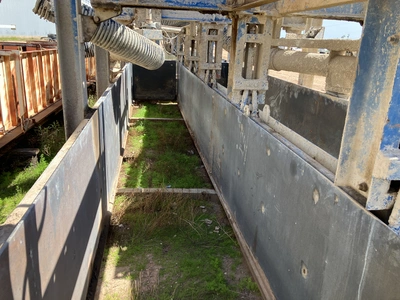 20' x 2' Cement Mold Unit #4232
