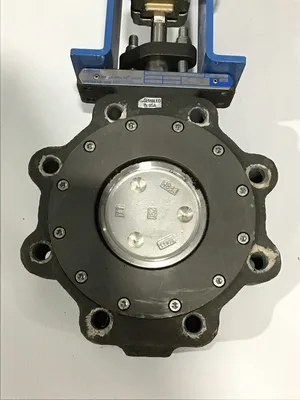 Jamesbury C/VPVL250 DA BC Pneumatic Actuator Valve