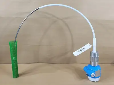 NEW ENDRESS+HAUSER FTI56-NAA2RGJ43D1A