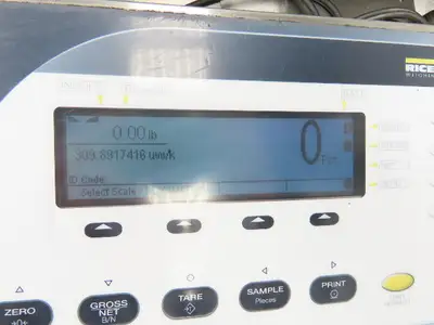 Rice Lake BM1218-100 Bench Weigh Scale & Display Counting Indicator 12 X 18"