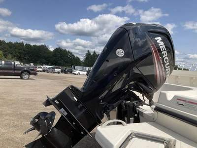 Used 2017 BAYLINER ELEMENT Boats (Misc) Michigan US | Miedema Asset Management Group #1322404