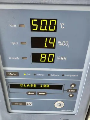 Used THERMO FORMA 3310 STERI-CULT DOUBLE STACK CO2 INCUBATOR, 11 CU. FT, 50C Incubators California US | Equipment Lab #1371503