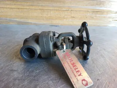 3/4" Class 800 Gate Valve B16.34
