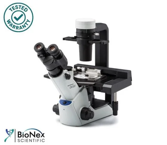 Used OLYMPUS CKX53 INVERTED CELL Microscopes New Jersey US | Bionex Scientific LLC #800131