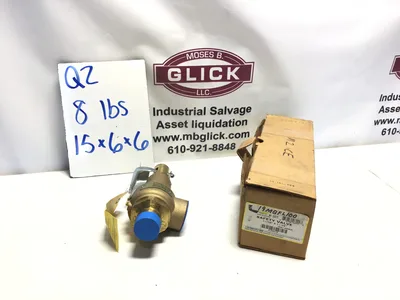 Apollo 19MGFL100 1-1/4″ X 1-1/2″ Safety Valve