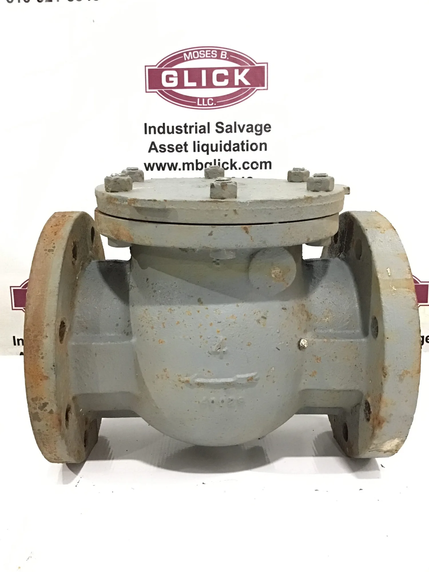 Nibco 12″ Flanged Swing Check Valve 200 WOG