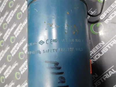 REGO A3149MG External “Pop-Action” Pressure Relief Valves 250 PSIG Used