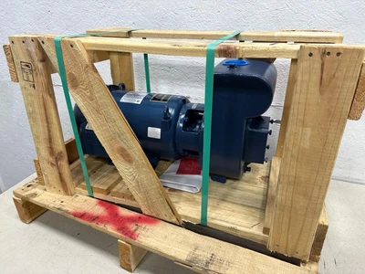 Sta-Rite DHJ3-170M Centrifugal Pumps | Fram Fram LLC (1)