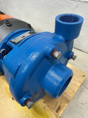Goulds _UNKNOWN_ Centrifugal Pumps | Fram Fram LLC (9)