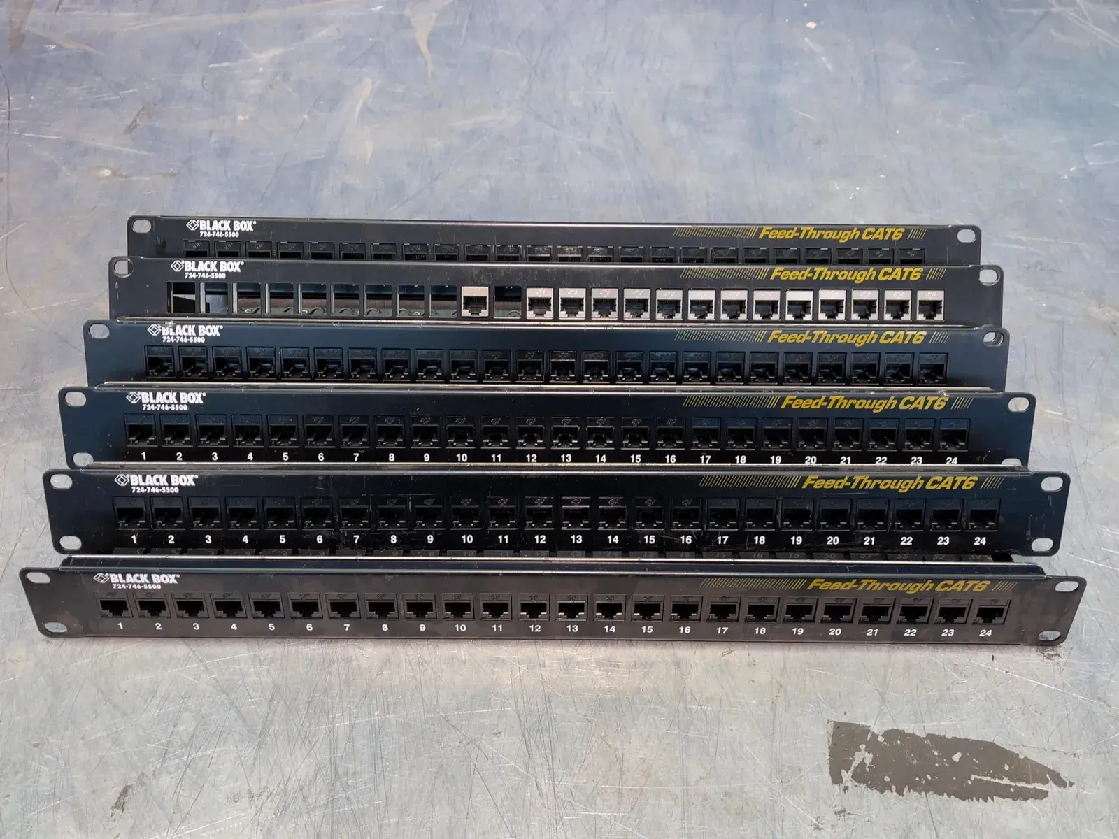 Black Box 24 Ports Feed-through Cat6 Patch Panels
