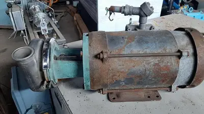 Pump, Centrif., 0.75 HP, S/st, 1.5" X 1.5", Sanitary #S738072