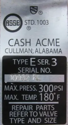 NEW CASH ACME TYPE E PRESSURE RELIEF VALVE 1" SER. 3 10932-FL
