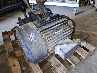 USED 1987 GOULDS 3196
