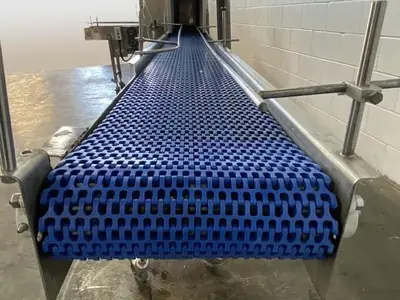 L-Conveyor With Steam Tunnel