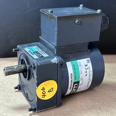 NEW ORIENTAL MOTOR CO.,LTD. 4IK25GN-FCH / 4GN12.5KA