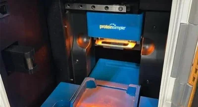 USED PROTEINSIMPLE WES