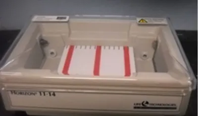 Used LIFE TECHNOLOGIES _UNKNOWN_ Electrophoresis Texas US | Bamko Surplus Process Equipment #937524
