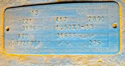 USED GOULD 3196