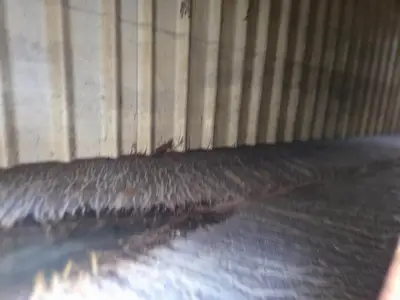 2010 Dragon Frac Tank Trailer