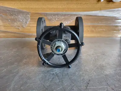 2" Class 300 Gate Valve B16.34
