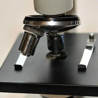 Student Compound Microscope RM-2B