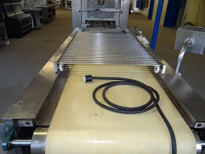Baktek Reciprocating Transfer Conveyor