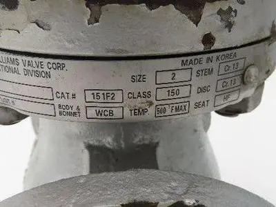 WM E Williams 151F2 Swing Check Valve 2" ANSI Flange Class 150