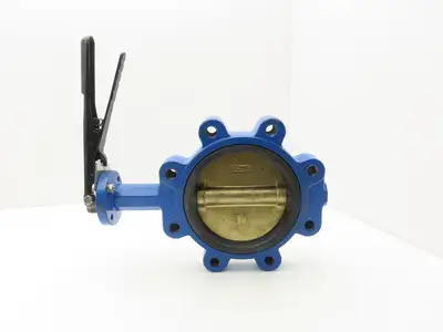 C&C Industries B148-GRC Butterfly Valve 6" Stainless Disc 200 PSI A536 DN150