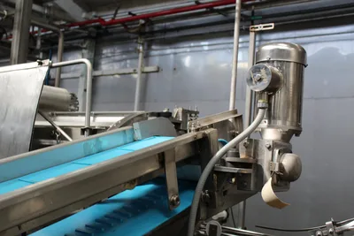 Hopper Feed Conveyor