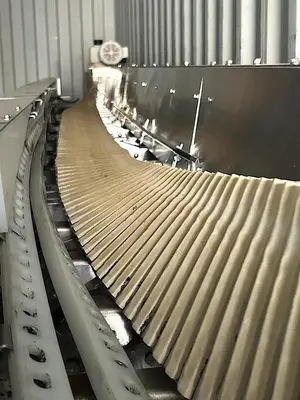 Laydown Cap Sterilizer Conveyor