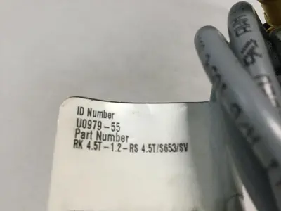 USED TURCK ELEKTRONIK U09799-55