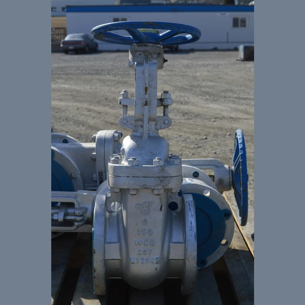 DSI 6 in. Gate Valves