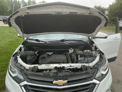 Used 2019 CHEVROLET EQUINOX SUVs Michigan US | Miedema Asset Management Group #1406904