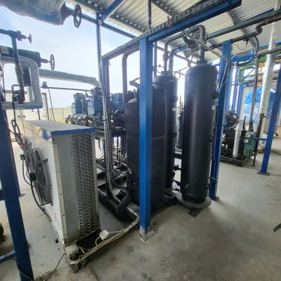 _UNKNOWN_ _UNKNOWN_ Plant - Food | Perry Equipment (13)