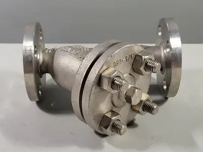 3/4" Class 150 Y-Pattern Globe Valve CF8M